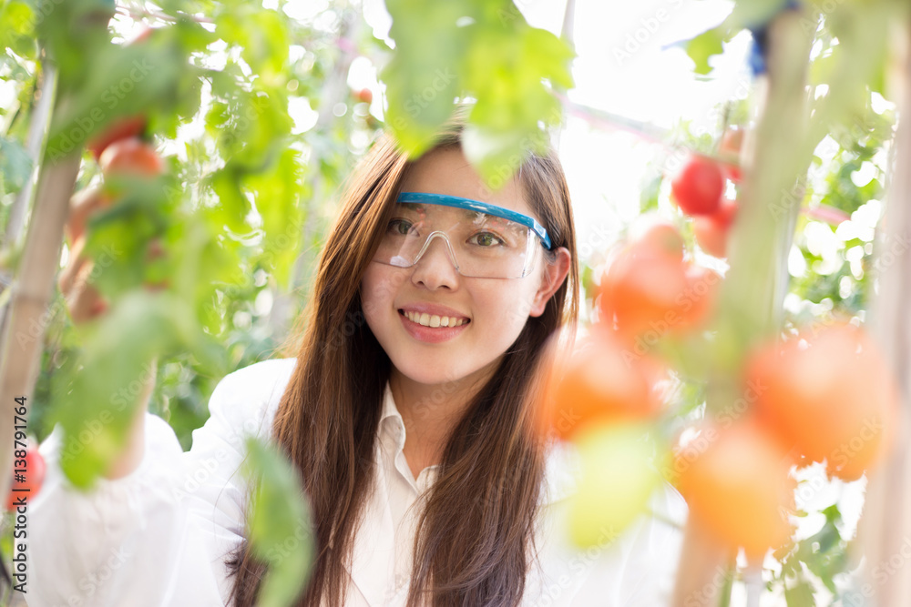 young beautiful asian woman works in green field