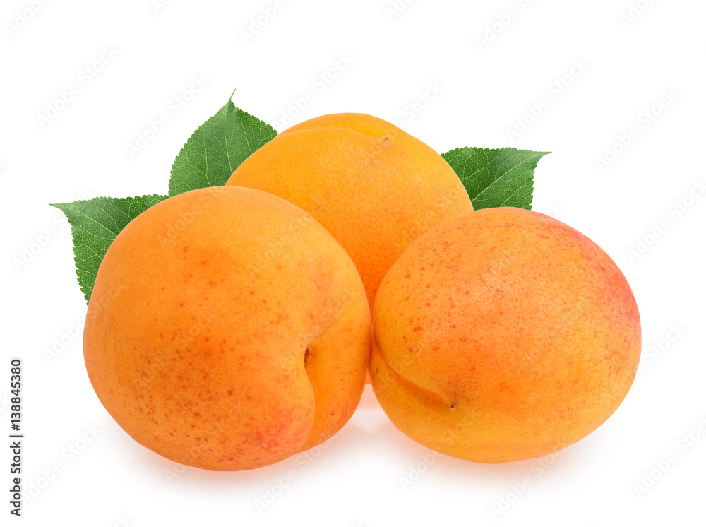 Apricots isolated on white