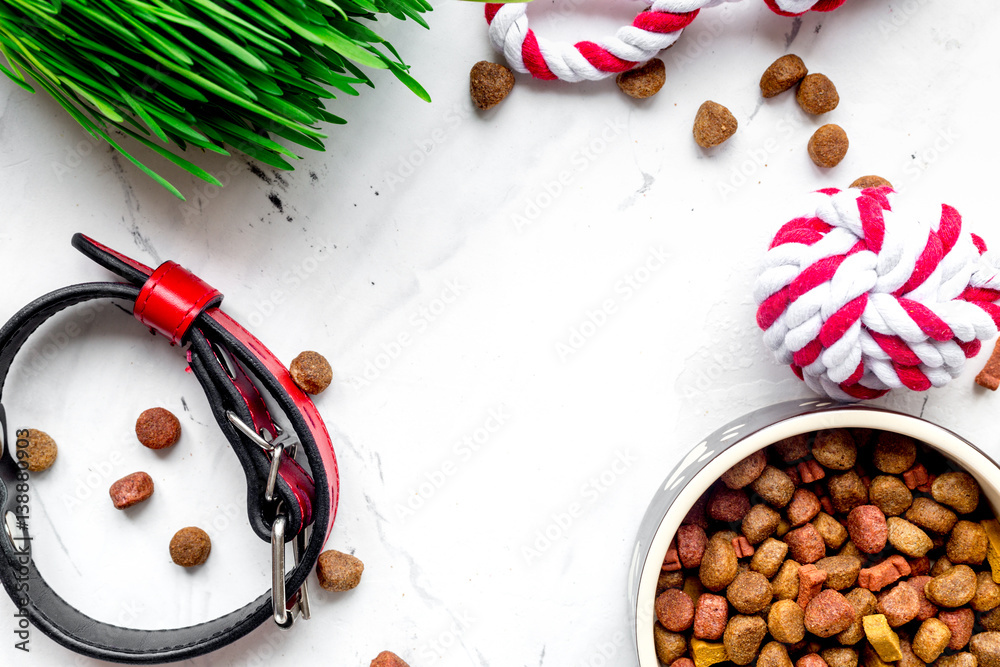 dry dog food in bowl on stone background top view