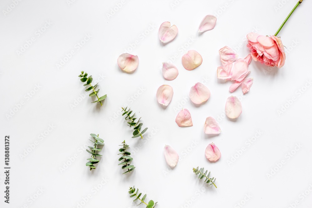 woman table with flower and herbs top view on white background