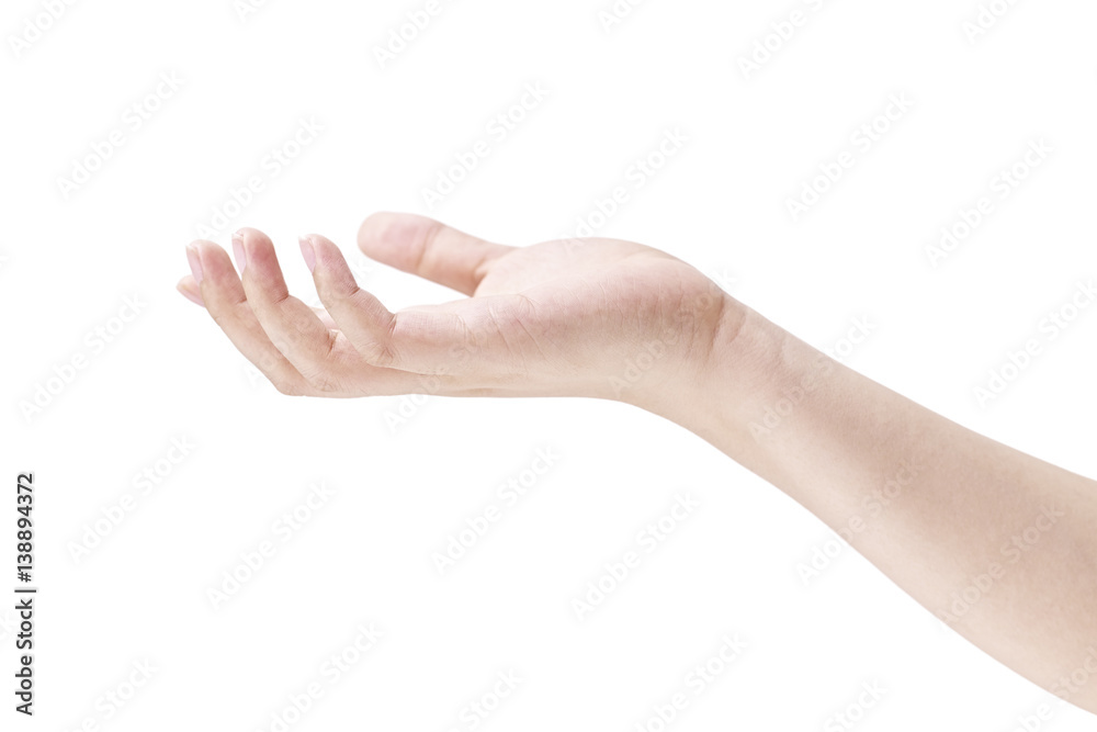 human hand on white background