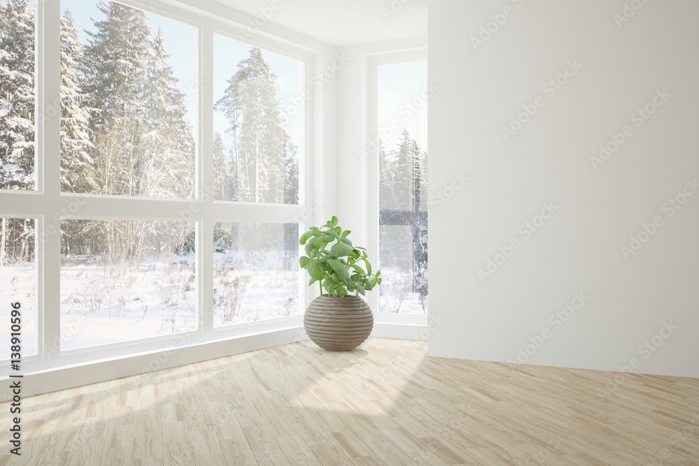 White room with flower and winter landscape in window. Scandinavian interior design