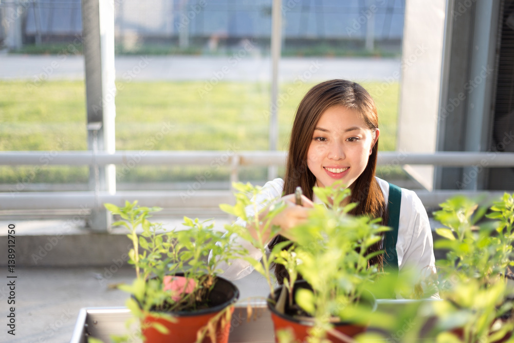 young asian woman works in green house