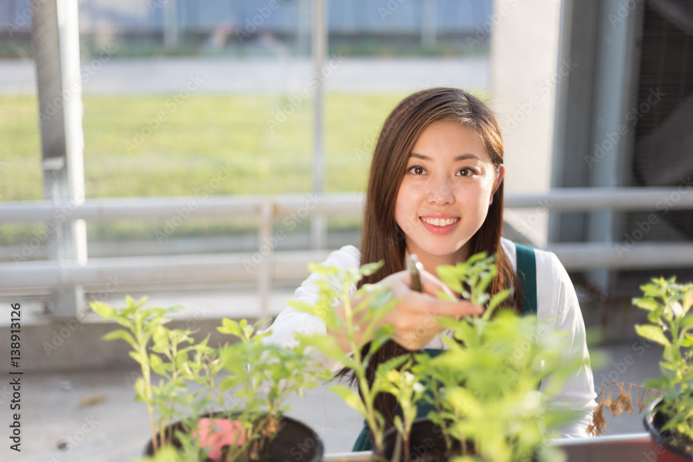 young asian woman works in green house