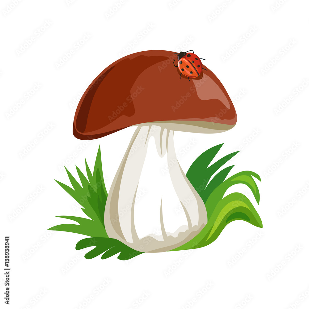 mushroom cartoon with ladybug isolated