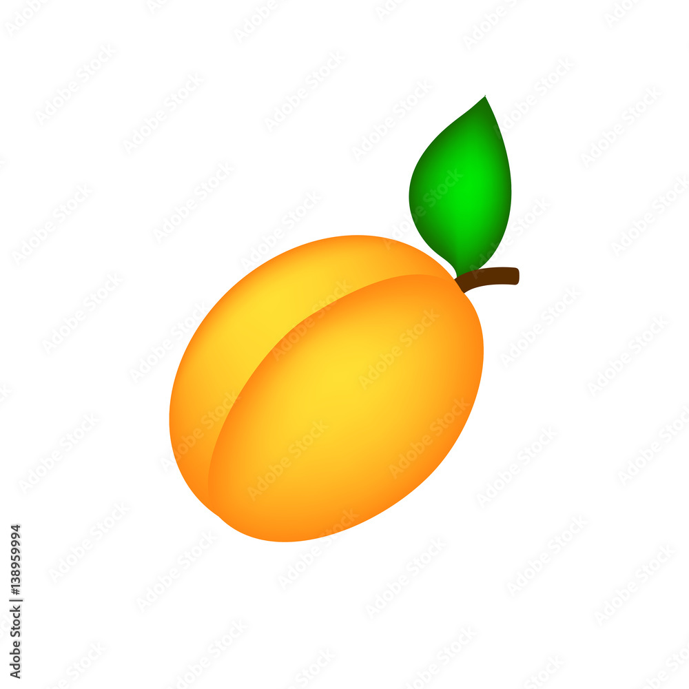 Apricot