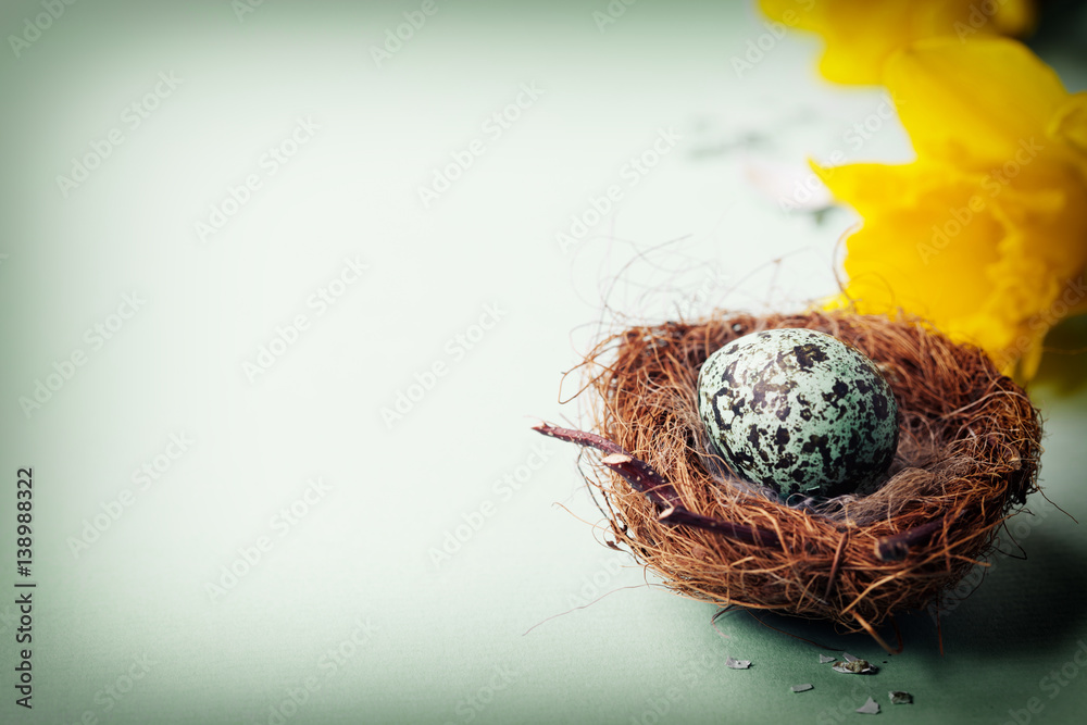 Easter egg in birds nest with spring flowers