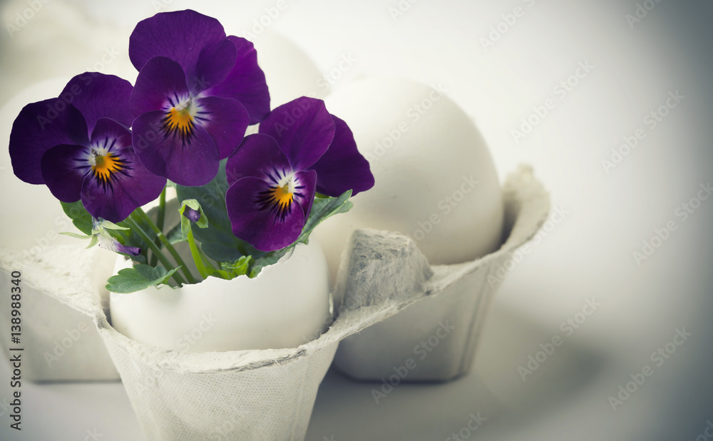 Cute flowers in egg shells for Easter