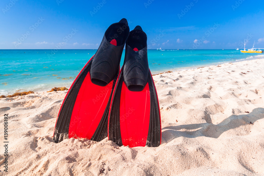 Snorkeling fins on the tropical beach of Mexico