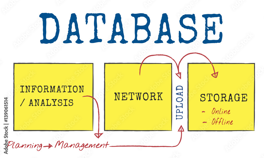 Data Connection Database Backup Graphic Diagram Words