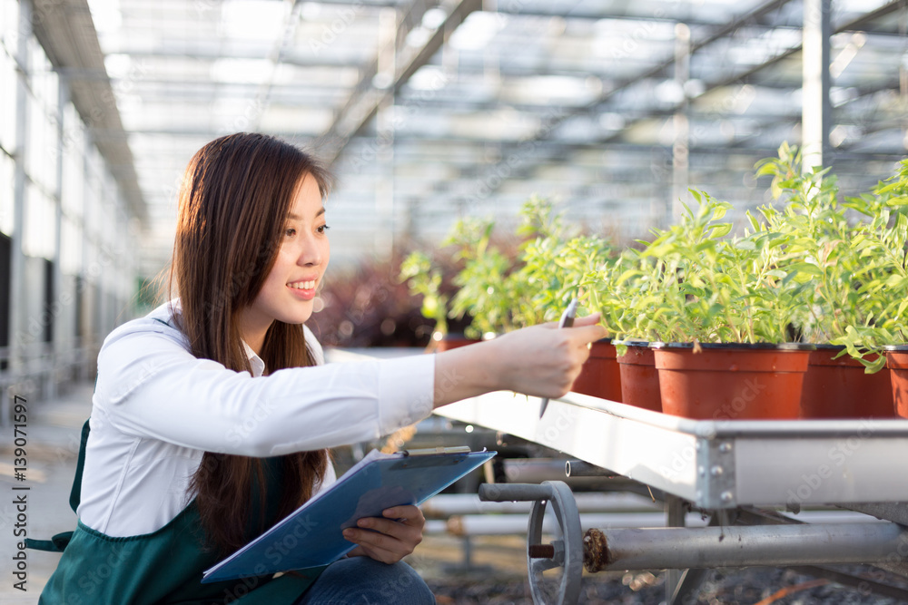 young asian woman works in green house