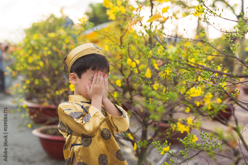 Happy kid having fun with traditional dress (ao dai) in Ochna Integerrima (Hoa Mai) garden. Hoa Mai 