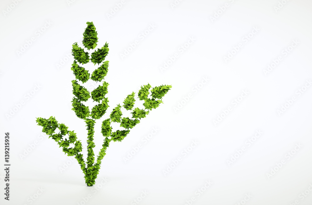 Green wheat sign isolated on white background. 3D illustration.