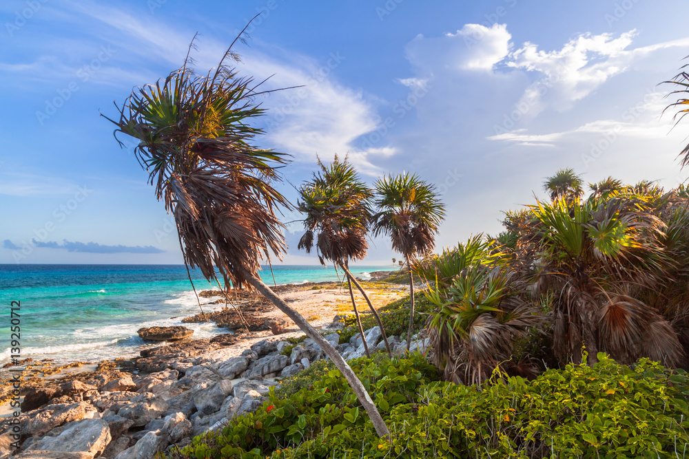 Beach at Caribbean sea in Playa del Carmen, Mexico