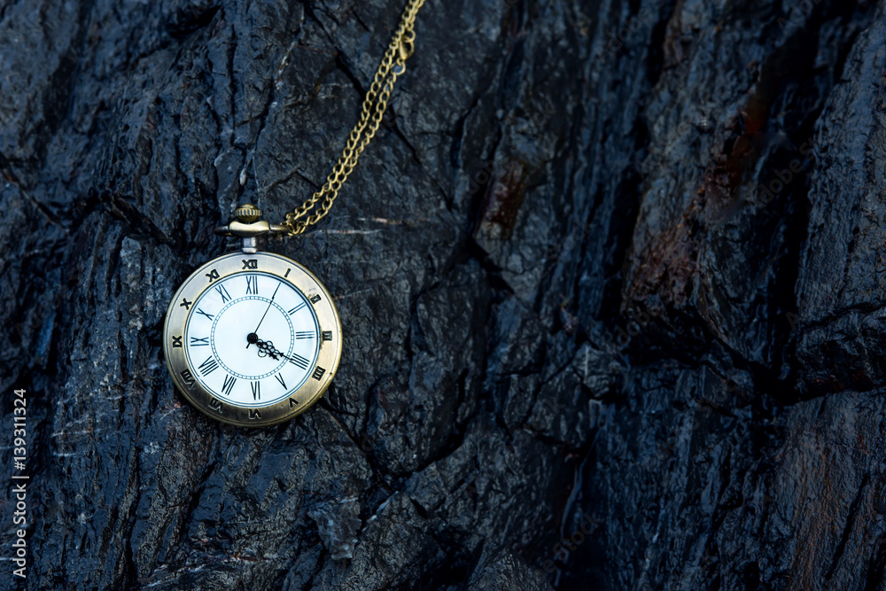 vintage golden pocket watch on rock