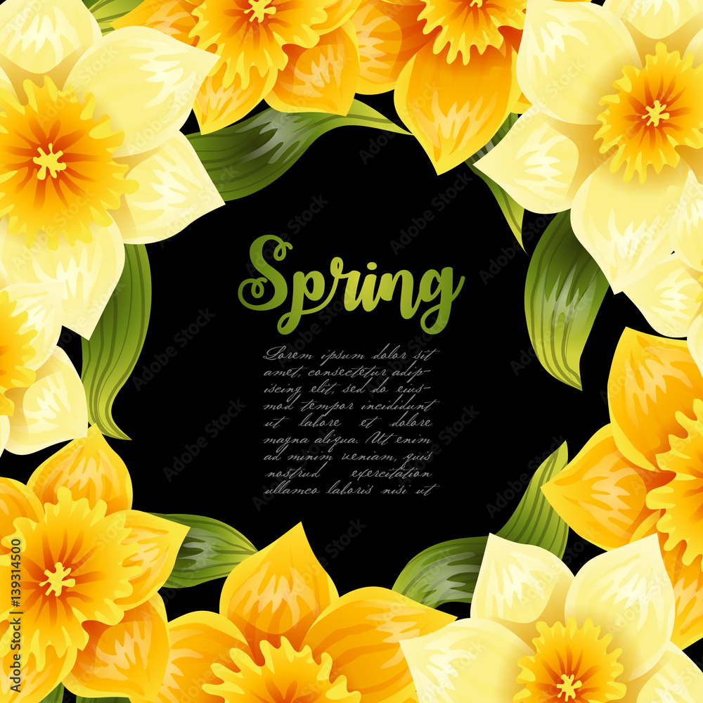 Elegant background with yellow daffodil narcissus. Spring flower with stem and leaves. Realistic pat