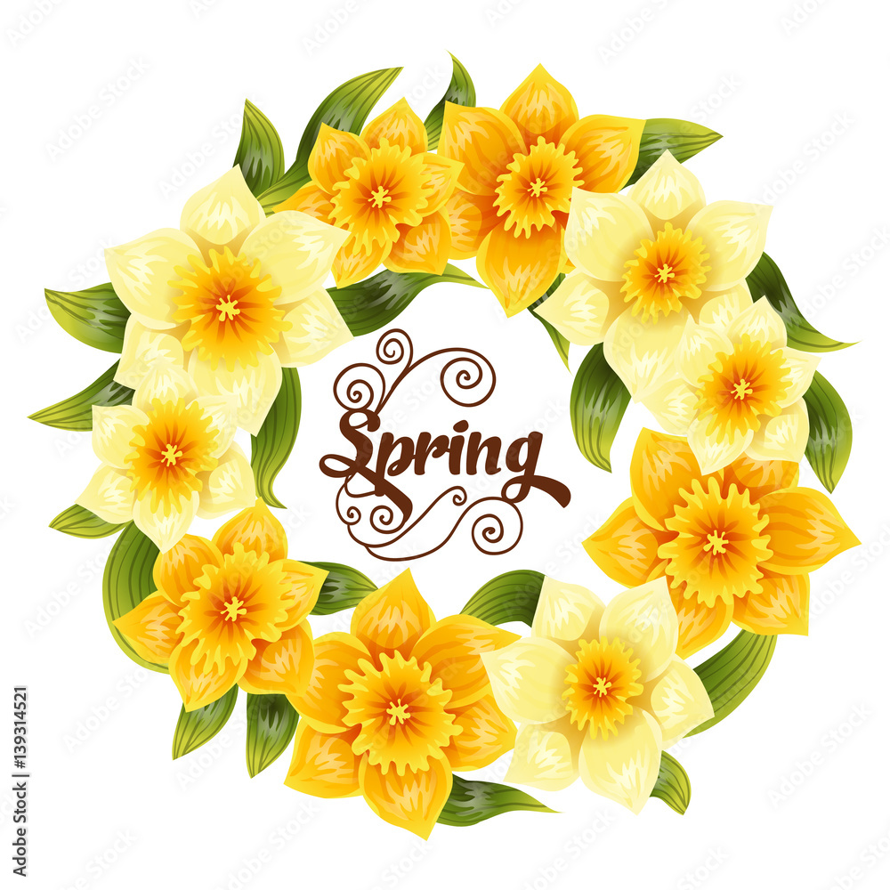 Elegant background with yellow daffodil narcissus. Spring flower with stem and leaves. Realistic pat