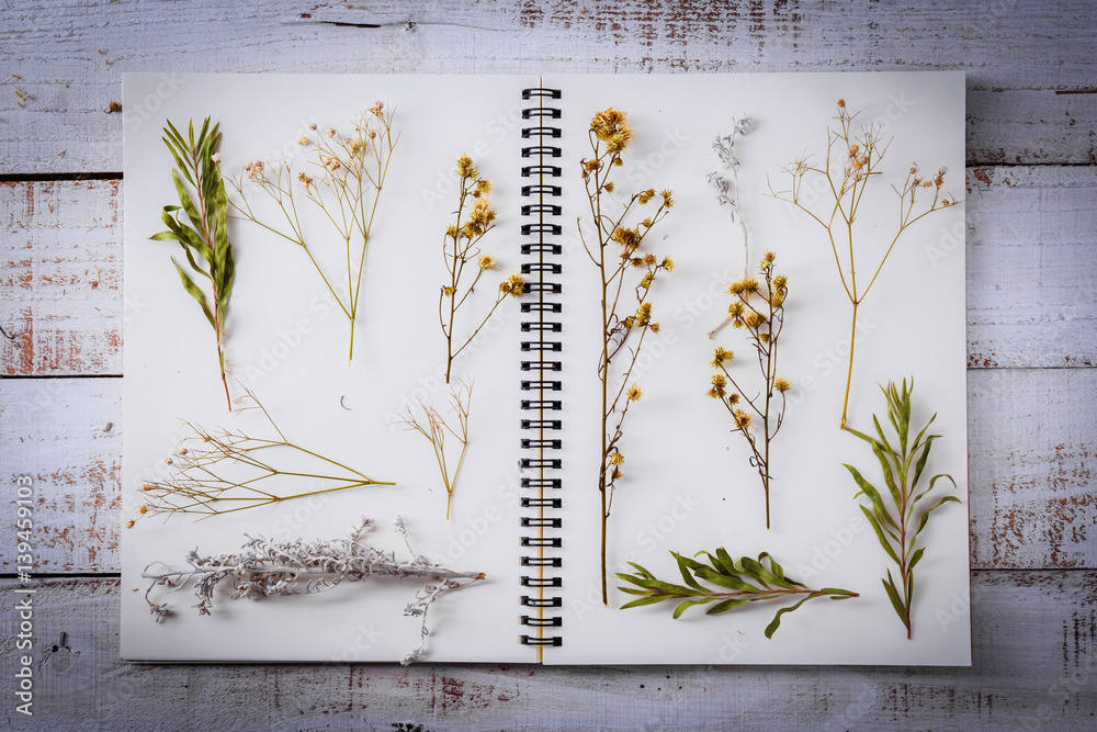 dry flower and leaf on blank page notebook on old white vintage wooden background