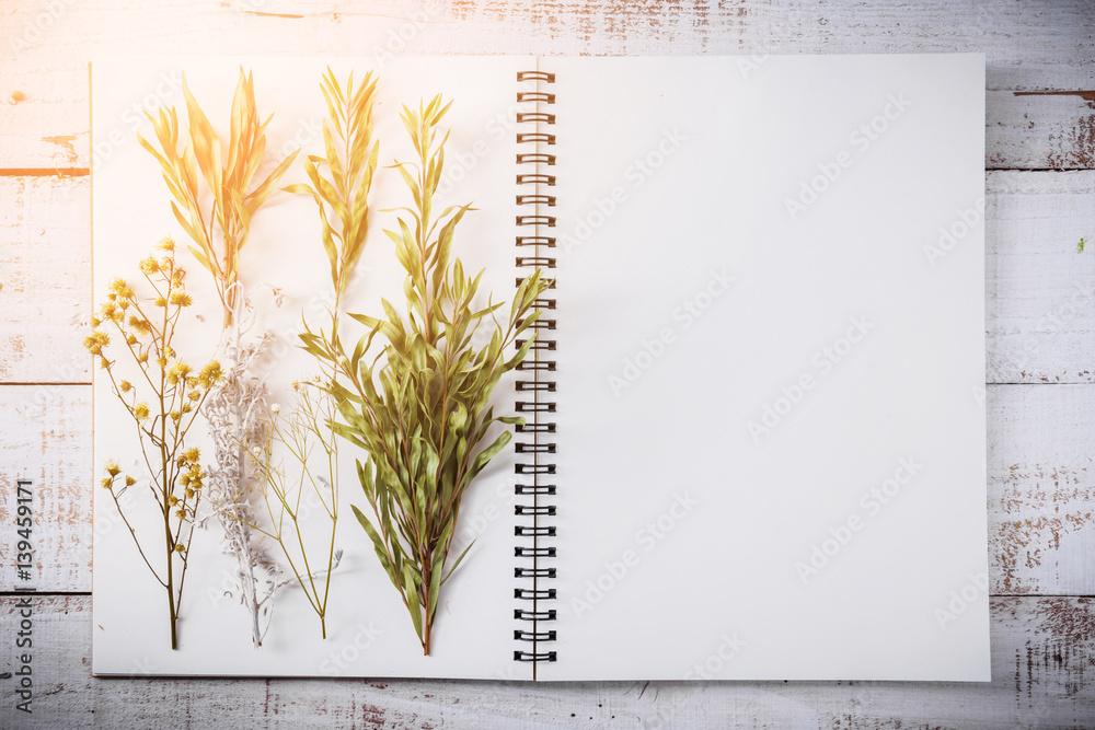 dry flower and leaf on blank page notebook on old white vintage wooden background