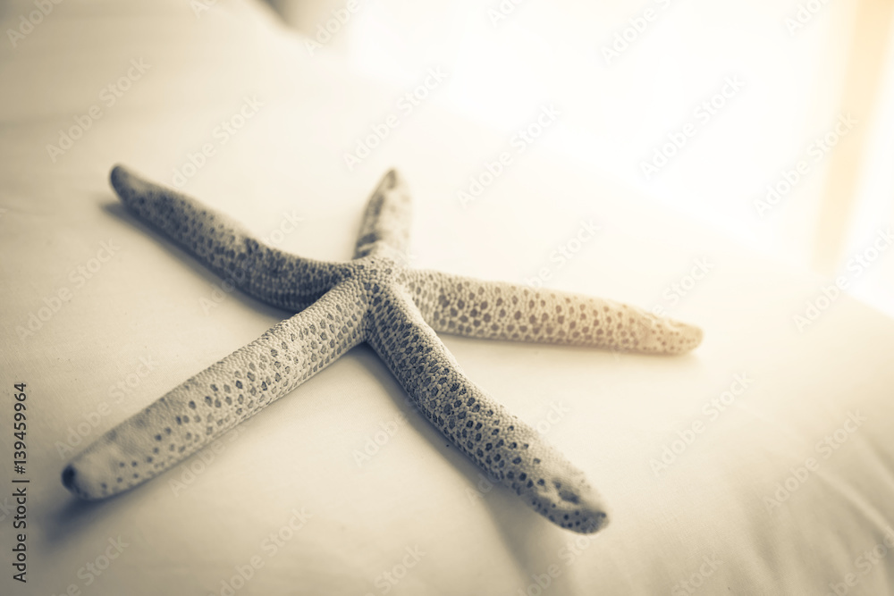 starfish on white background decorating room ideas