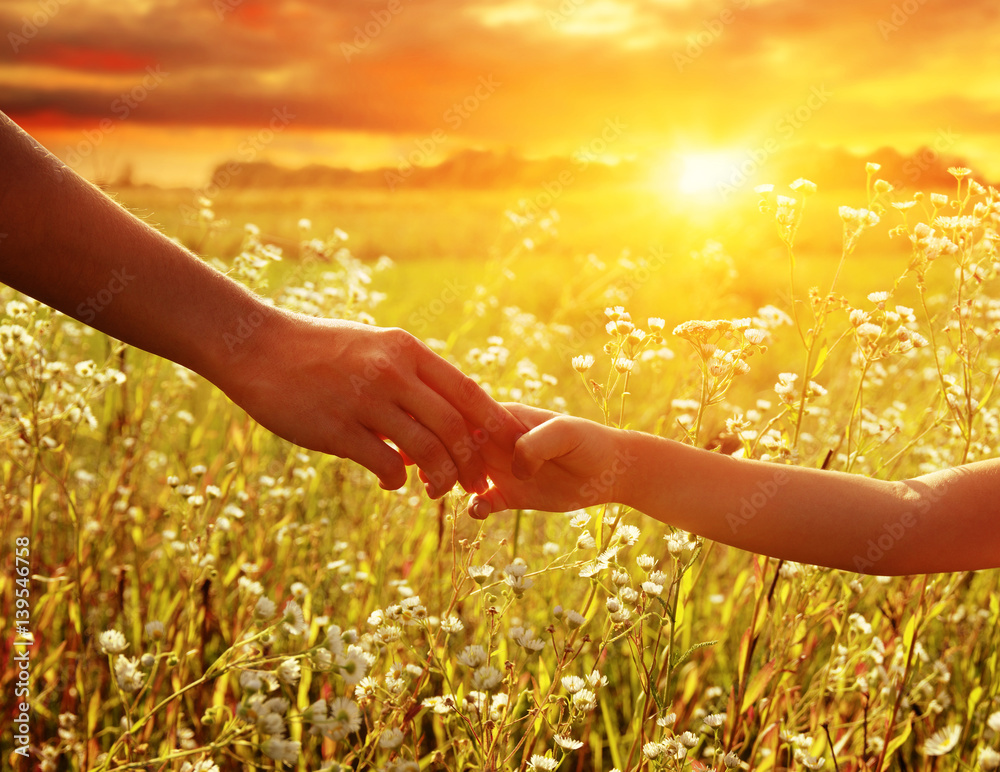 Hands of holding each other in field