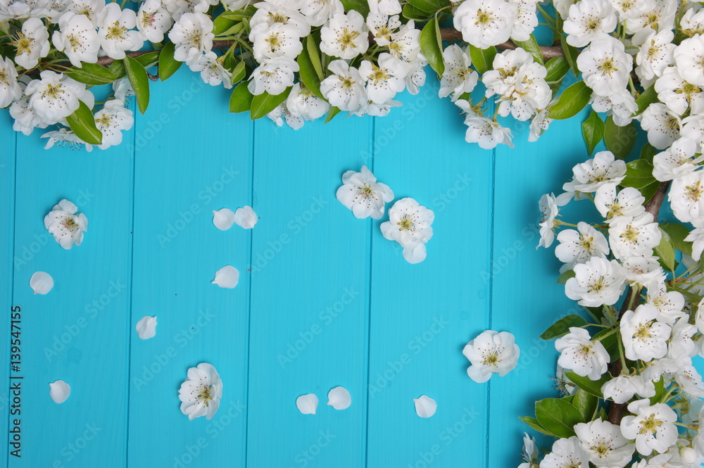  blossom on blue wood background