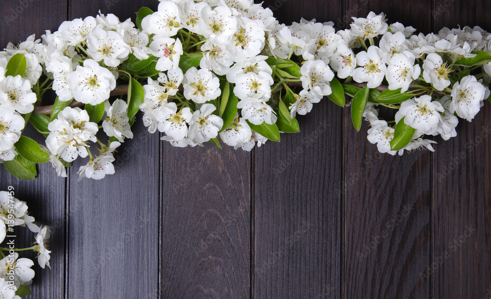 Spring  flower on wood