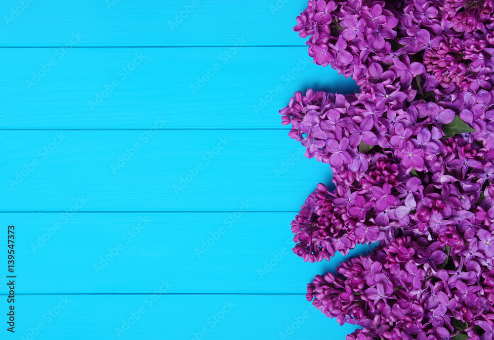  Lilac flowers on blue wooden background.