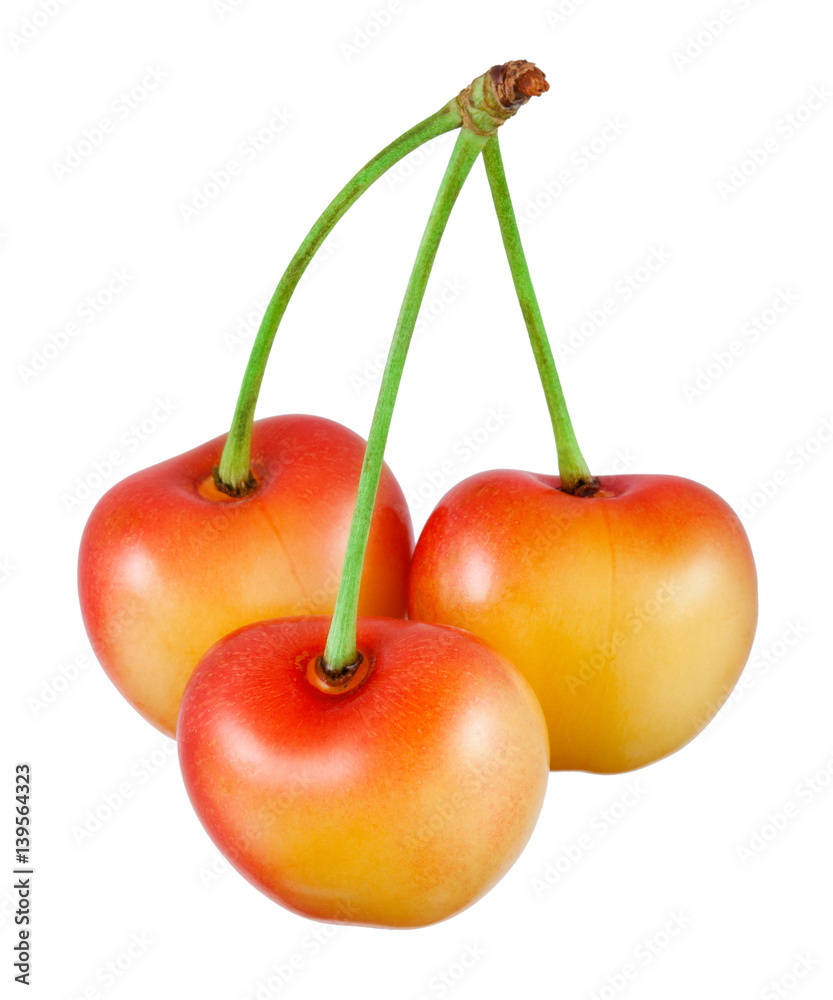 Yellow cherry isolated on white background.