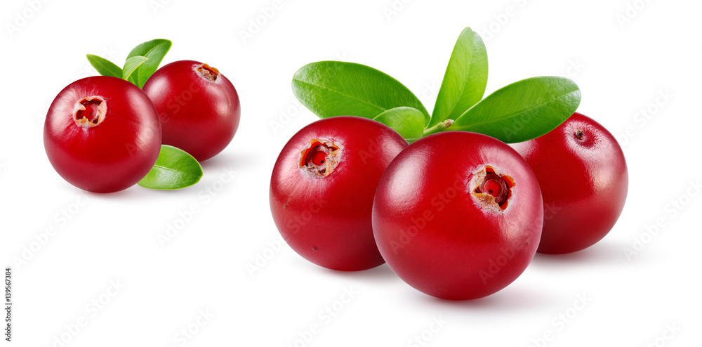 Cranberry with leaves. Group of fresh berries isolated on white. Full depth of field.