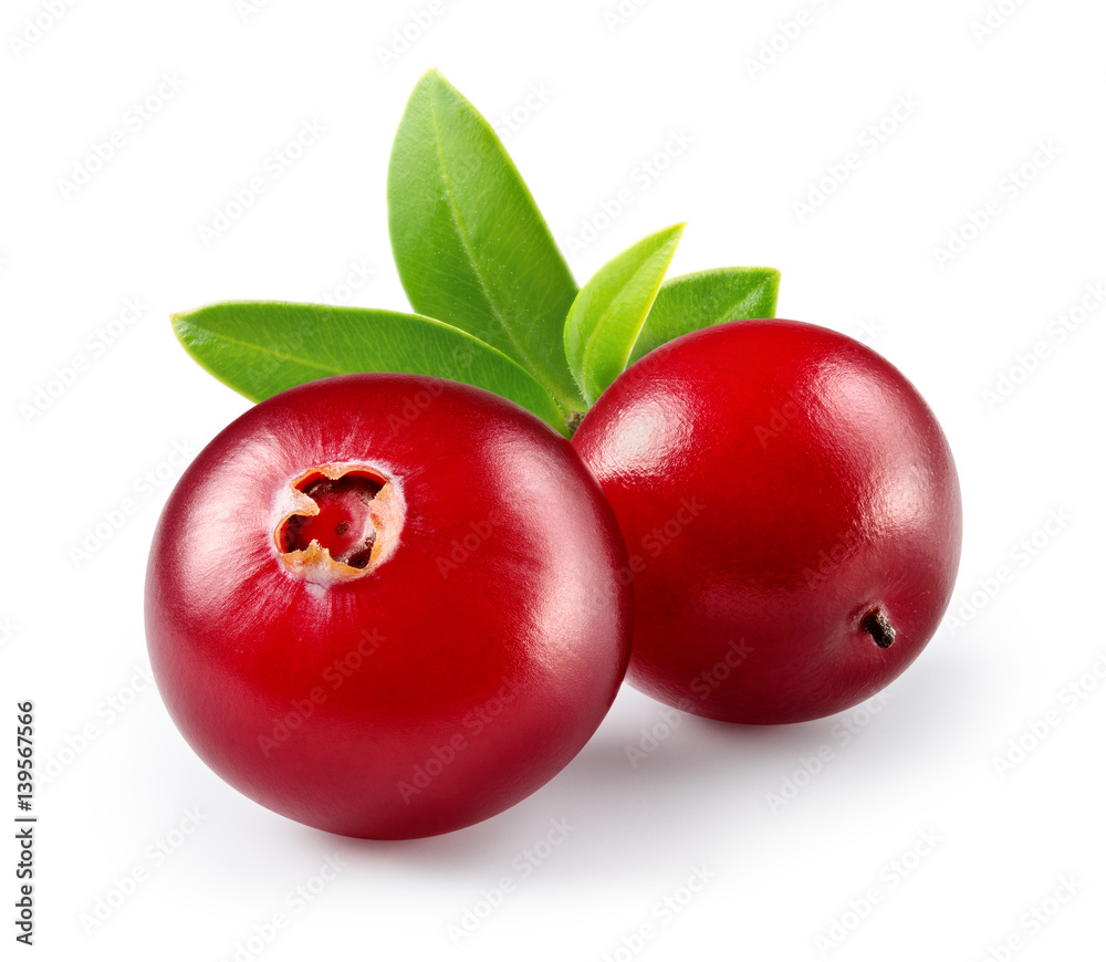 Cranberry with leaves isolated on white. With clipping path. Full depth of field.