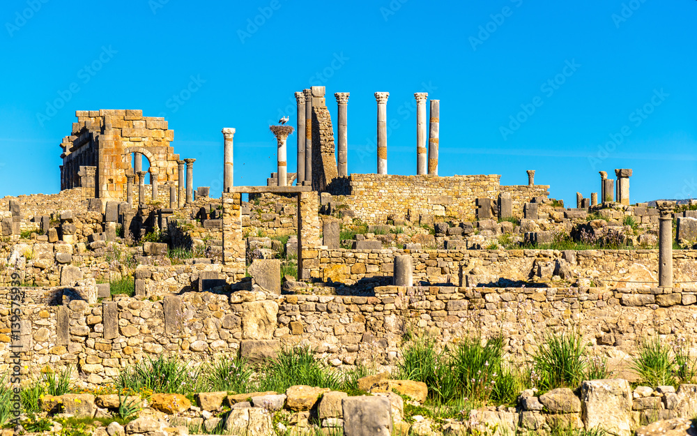 Ruins of Volubilis, a Berber and Roman city in Morocco