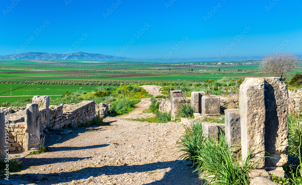 Ruins of Volubilis, a Berber and Roman city in Morocco