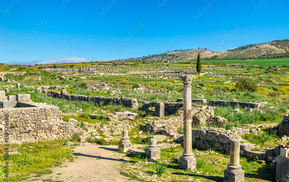 Ruins of Volubilis, a Berber and Roman city in Morocco