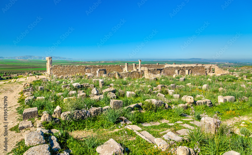 Ruins of Volubilis, a Berber and Roman city in Morocco