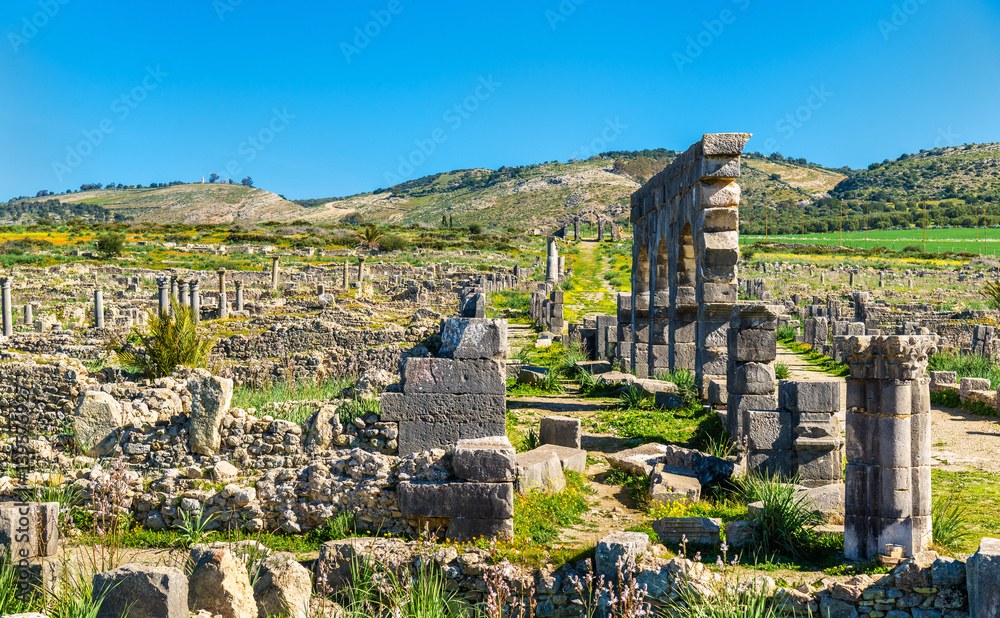 Ruins of Volubilis, a Berber and Roman city in Morocco