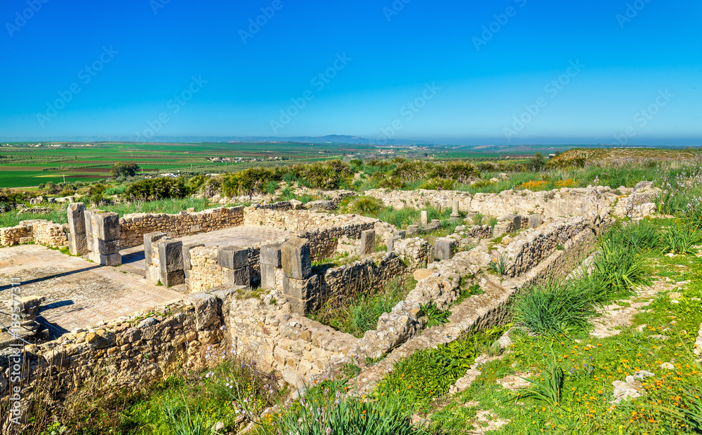 Ruins of Volubilis, a Berber and Roman city in Morocco