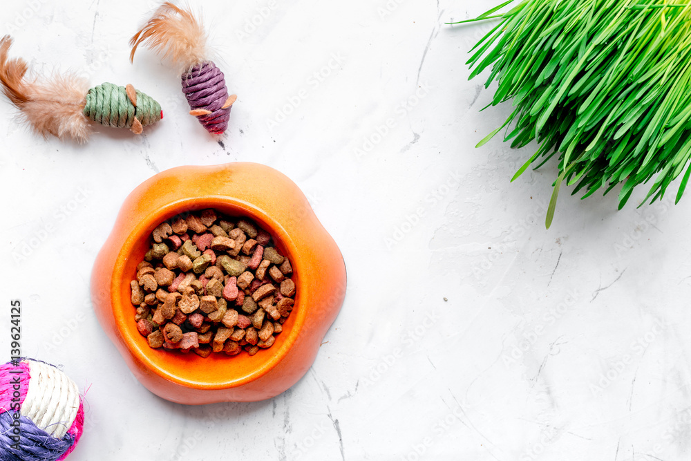 dry cat food in bowl on stone background top view