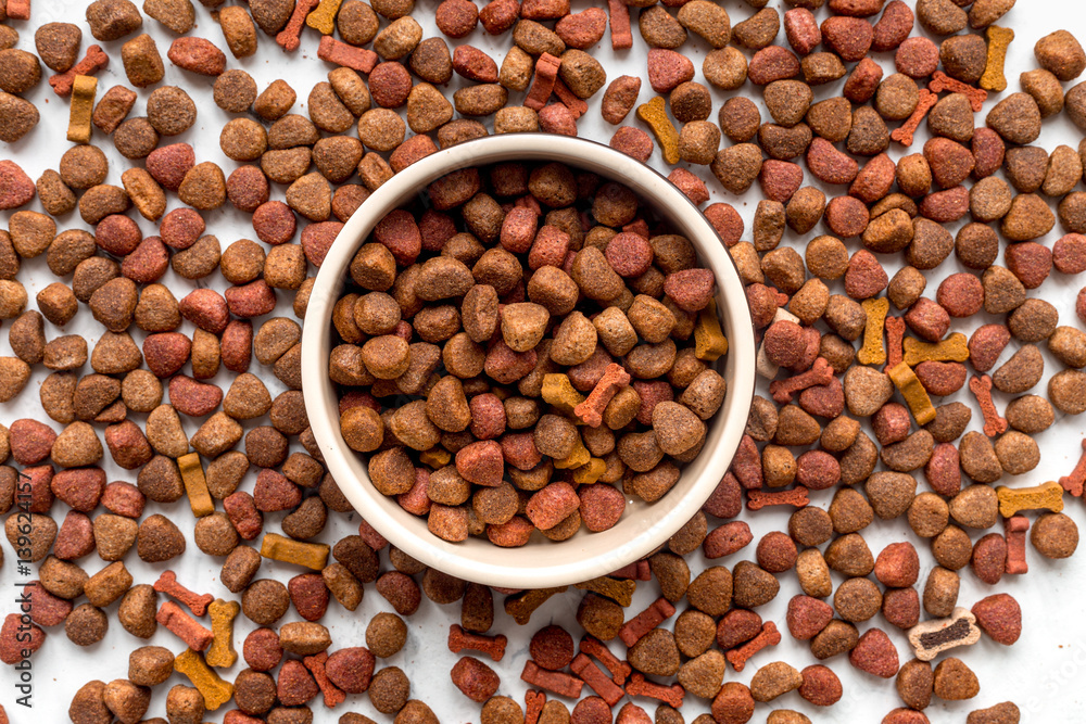 dry dog food in bowl on white background top view