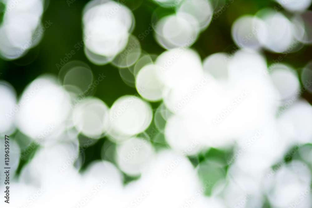 Fresh healthy green bio background with abstract blurred foliage and bright summer sunlight and a ce