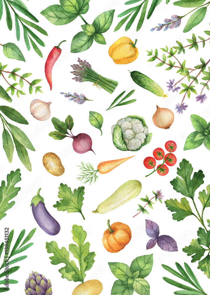 Watercolor vegetables and herbs isolated on white background.