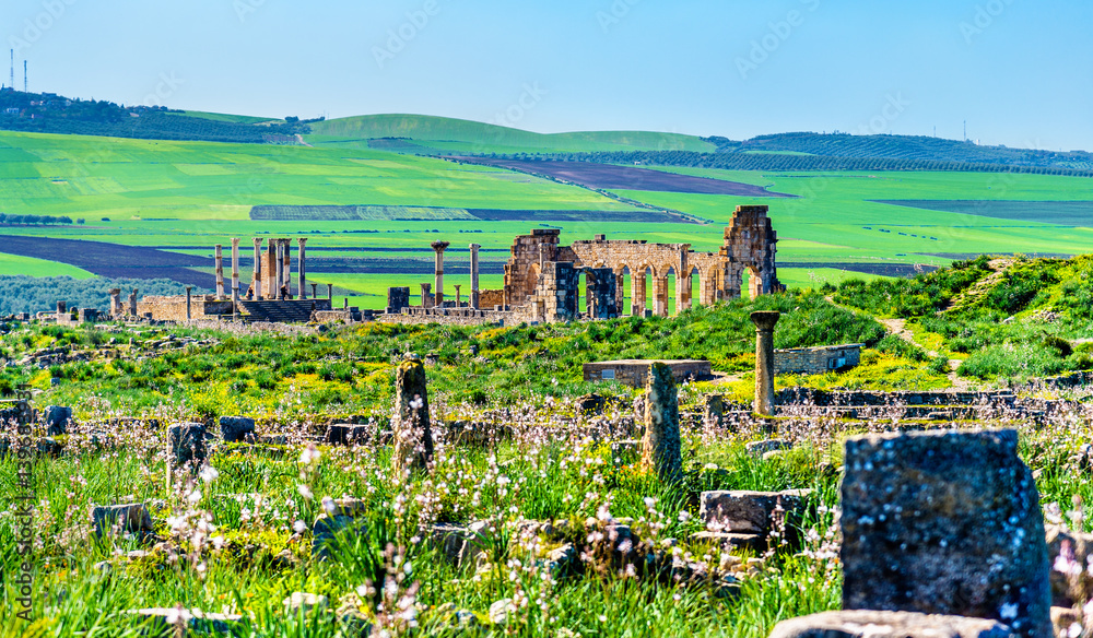 Panorama of the antique city of Volubilis, a UNESCO heritage site in Morocco