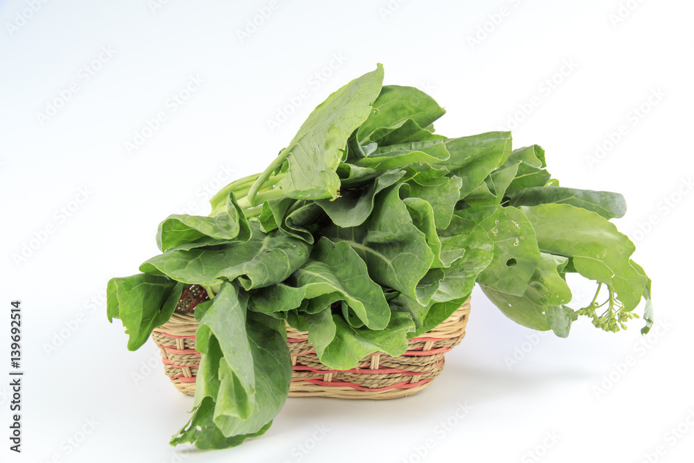 Chinese kale isolated on white background