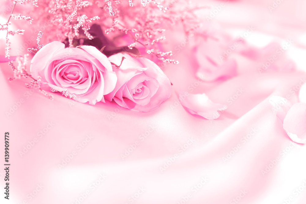 soft sweet rose flowers for love romance or wedding background