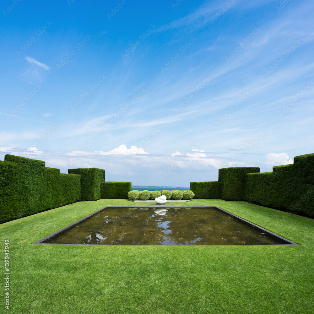 beautiful green grass near sea