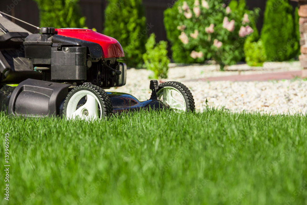 Lawn mower on green grass