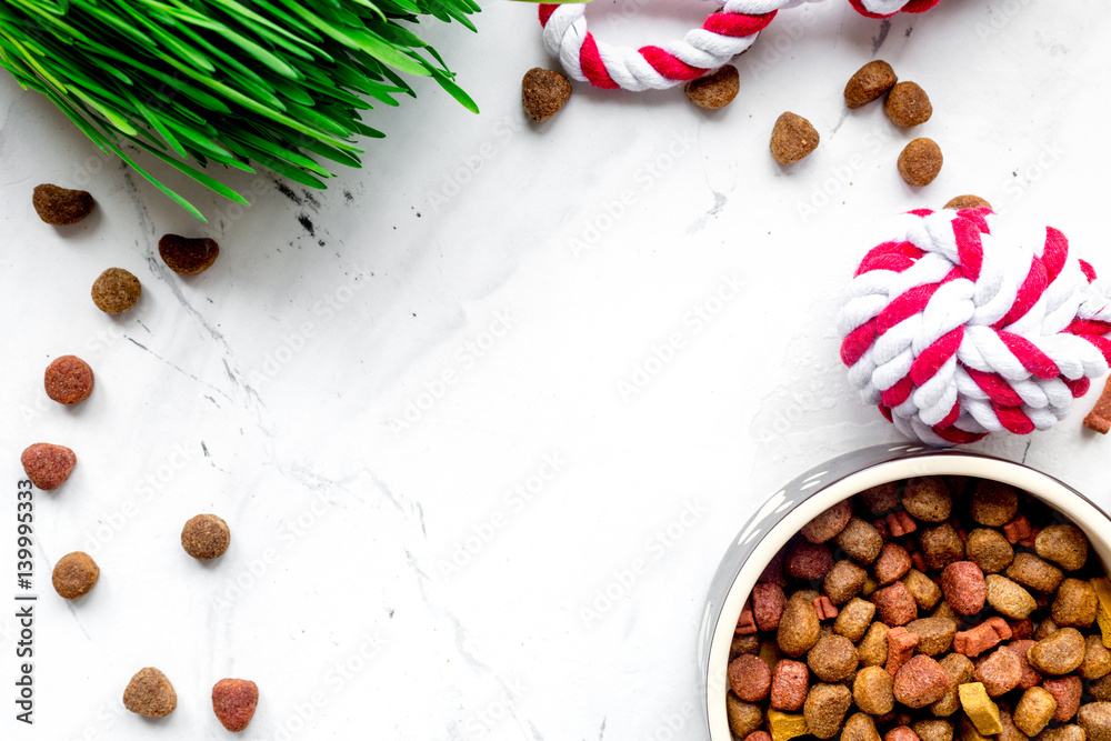 dry dog food in bowl on stone background top view