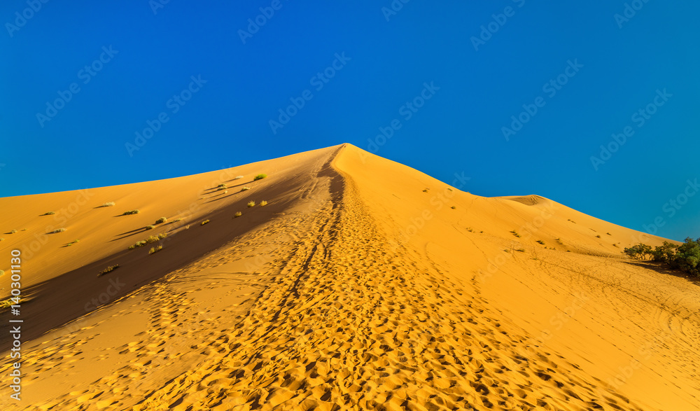 Climbing a dune near Merzouga in Morocco