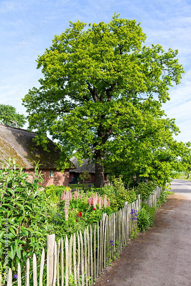 Bauerngarten auf dem Darss