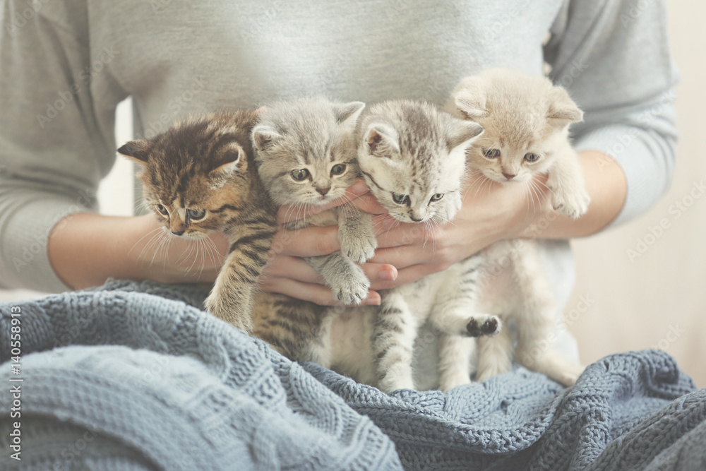 Woman holding small cute kittens